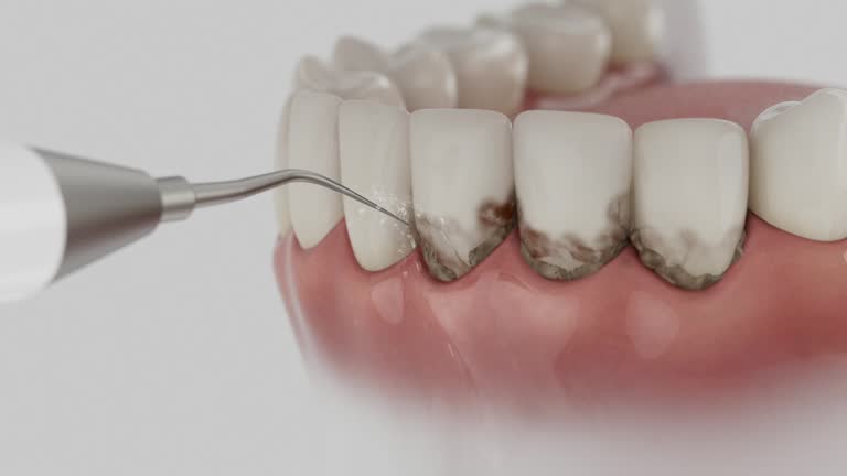 Reliable Dental contractor in Sidney, IL by Dentist Open Now